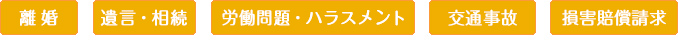 離婚/遺言・相続/労働問題・ハラスメント/交通事故/損害賠償請求